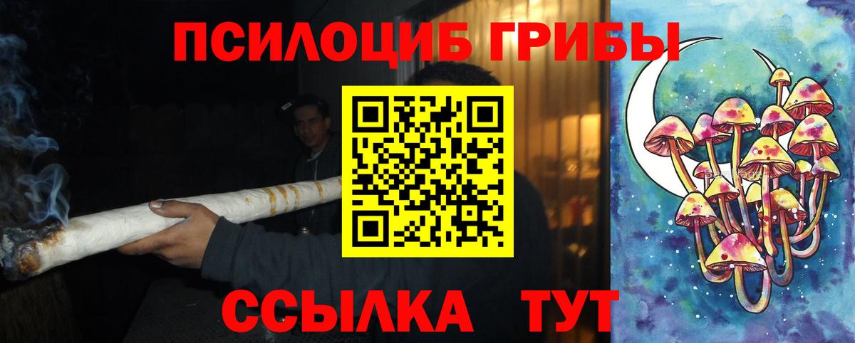 Галлюциногенные грибы GOLDEN TEACHER Владивосток