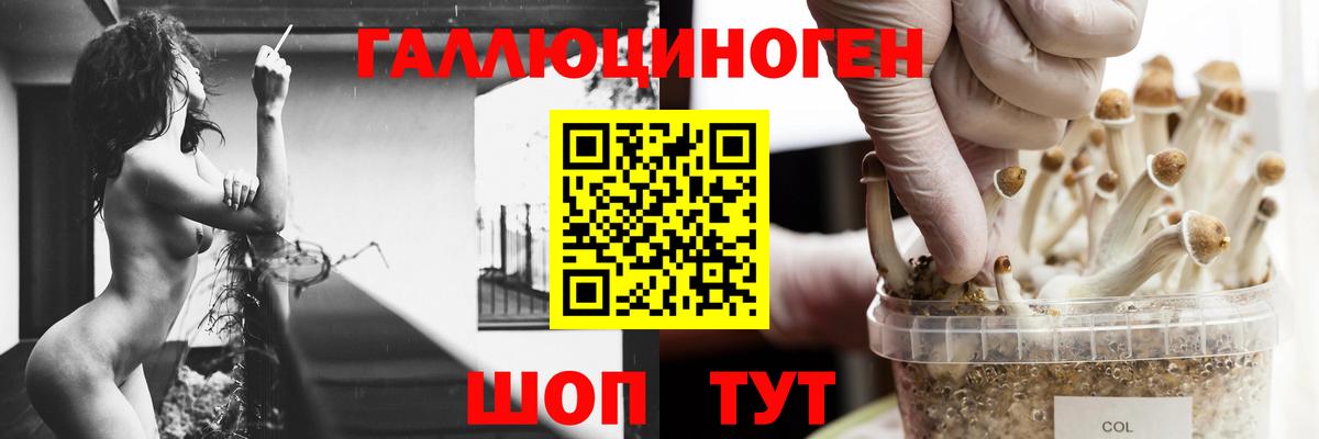 Владивосток  Галлюциногенные грибы Cubensis  Галлюциногенные грибы Magic Shrooms  где можно купить   Вход с VPN 